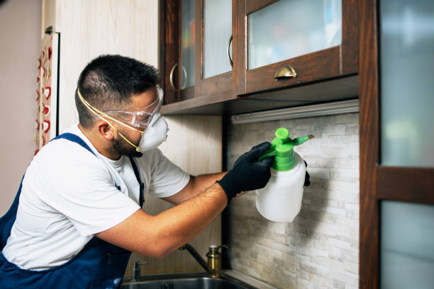 Best Pest Removal Services  in The Hammocks, FL