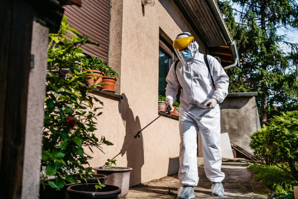 Best Pest Control Near Me in The Hammocks, FL