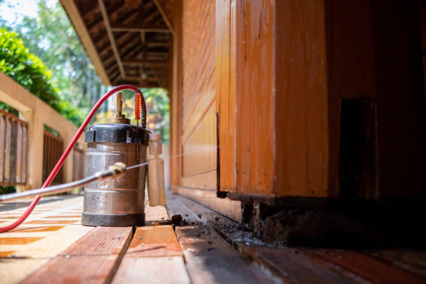 Best Pest Control for Homes  in The Hammocks, FL