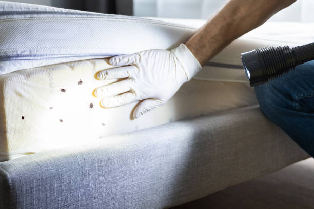 Best Exterminator Services  in The Hammocks, FL