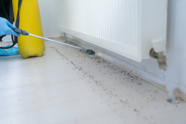 Pest Prevention Services in The Hammocks, FL